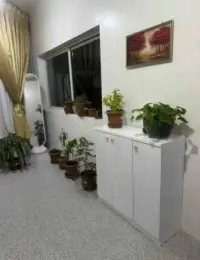 دوليب 